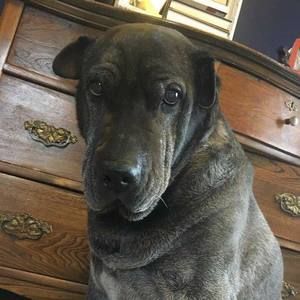 Meet your Posher, Brenda